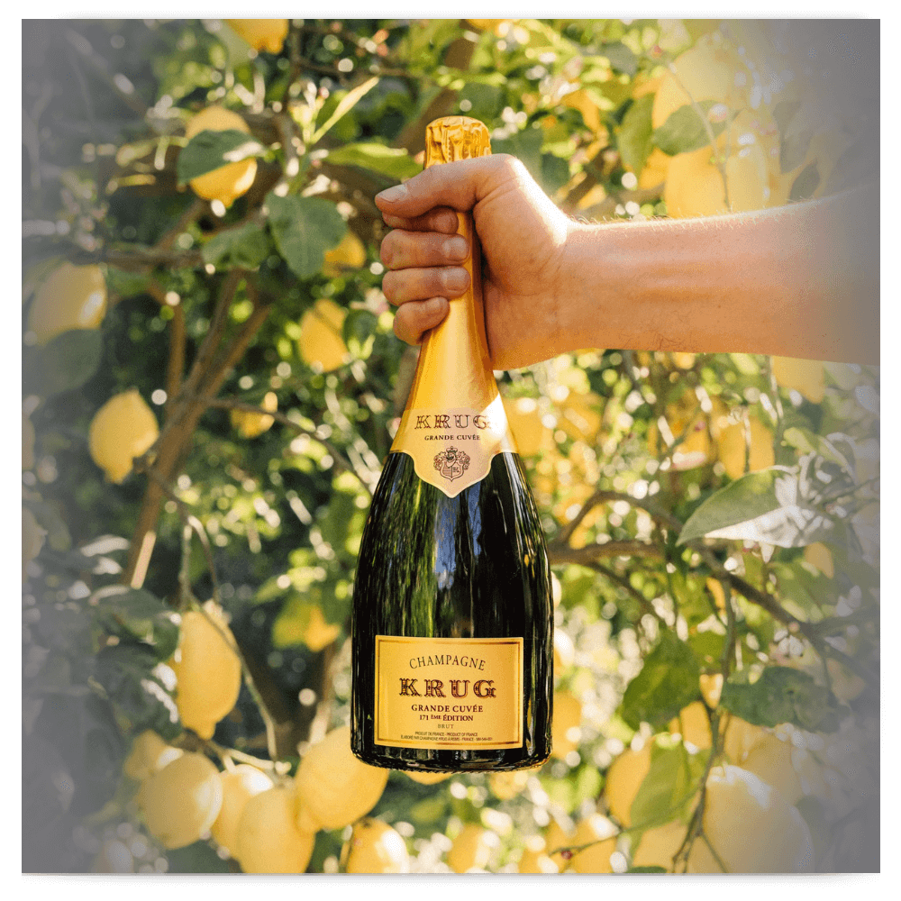 KRUG GRANDE CUVEE 171Edition 4本セット(伊勢丹新宿店「ノエル KRUG GRANDE CUVEE 171Edition 4本セット(伊勢丹新宿店「ノエル