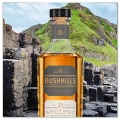 BUSHMILLS 21YO WHISKY SINGLE MALT 0,7L + PUDEŁKO