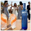 SKYY VODKA 1L SAN FRANCISCO