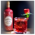 PADRO & CO ROJO CLASICO 0,75L WERMUT