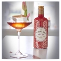 PADRO & CO ROJO CLASICO 0,75L WERMUT