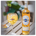 MARTINI FLOREALE 0,75L