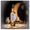 GLEN SCOTIA 11YO CAMPBELTOWN MALTS FESTIVAL 2023 WHISKY SINGLE MALT 0,7L + KARTONIK