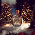 CHRISTMAS GLOBE GIN LIQUEUR SPICED ORANGE & CRANBERRY 0,7L - PODŚWIETLANA BUTELKA
