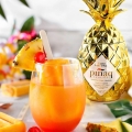 PINAQ GOLD LIQUEUR 1L