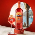 MARTINI FIERO 1L - WERMUT