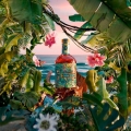 DON PAPA ALON RUM 0,7L