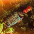 DON PAPA MASSKARA RUM 0,7L