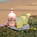 TWIN FIN COCONUT AND LYCHEE RUM 0,7L