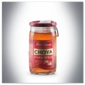 CHOYA EXTRA SHISO 0,05L (MINI)