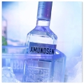 AMUNDSEN 0,5L