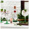 TANQUERAY MALACCA GIN 1L