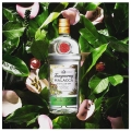 TANQUERAY MALACCA GIN 1L