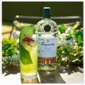 TANQUERAY LOVAGE GIN 1L