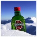DEMANOVKA HORKA /BITTER 0,5L