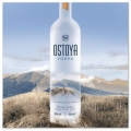 OSTOYA VODKA 0,5L