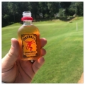 FIREBALL CINNAMON WHISKY 0,05L (MINI)