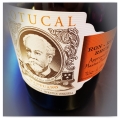 DIPLOMATICO [BOTUCAL] MANTUANO EXTRA ANEJO RUM 0,7L