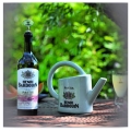 PASTIS HB HENRI BARDOUIN 0,7L + KARTON