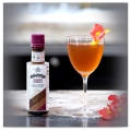 ANGOSTURA COCA BITTERS 100ML