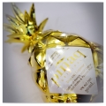 PINAQ GOLD LIQUEUR 0,05L (MINI)