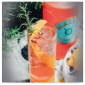 GIN MALFY G.Q.D.I. CON ARANICA BLOOD ORANGE 0,7L