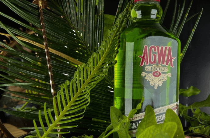 AGWA DE BOLIVIA COCA LEAF LIKIER 0,7L - Sklep online Propaganda24h.pl