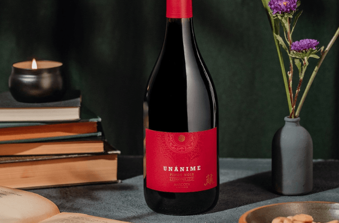 Mascota Unánime Pinot Noir 0.75L – Argentine dry red wine