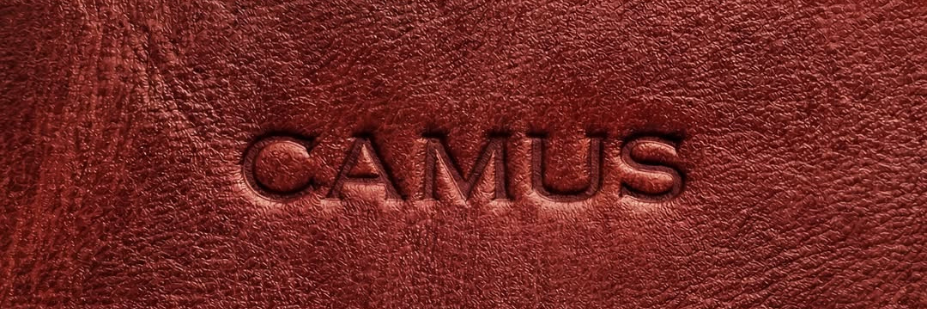Portfolio koniaków CAMUS